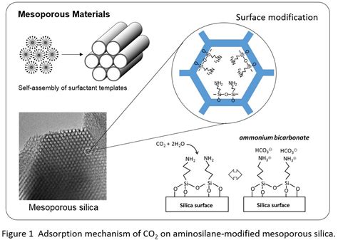 Mesoporous Silica:  뛰어난 흡착력과 높은 표면적을 자랑하는 미래소재는 무엇일까요?